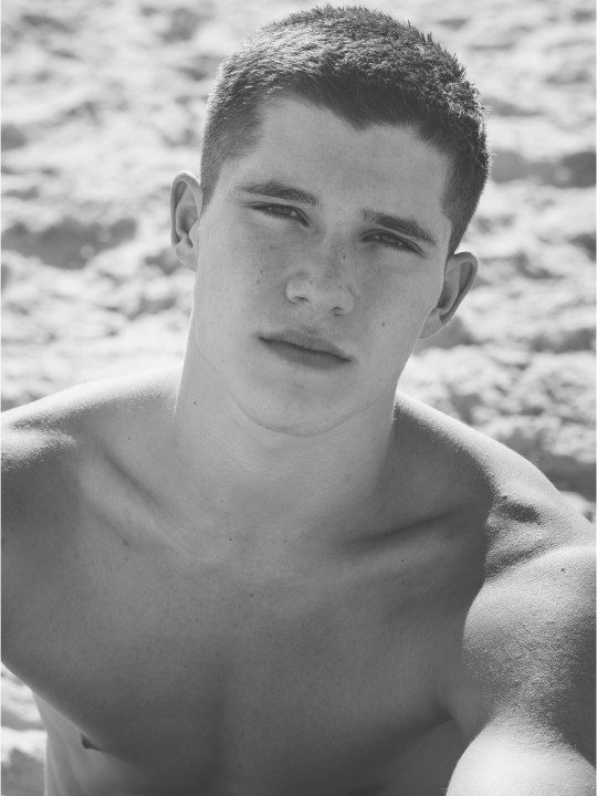 Roy Reshef