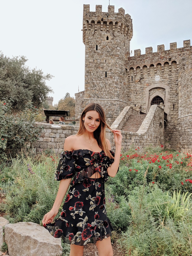 Madison Justice