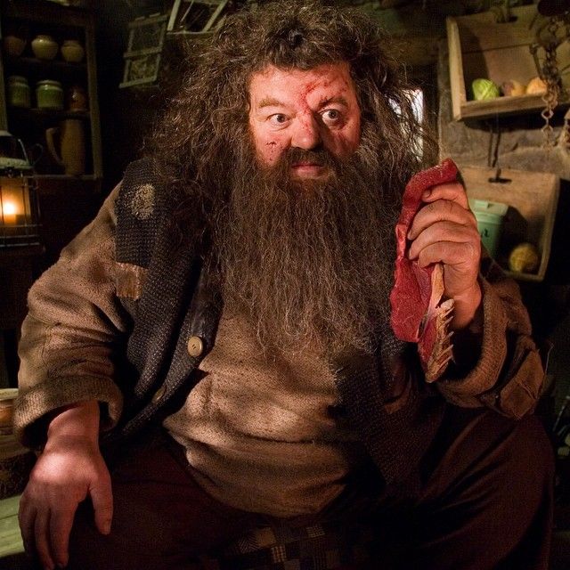 Rubeus Hagrid