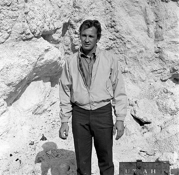 Roy Thinnes