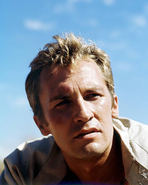 Roy Thinnes