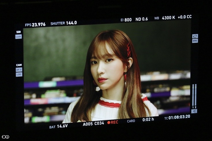 EXID