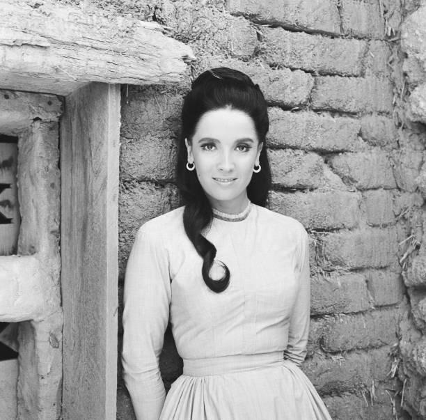 Linda Cristal