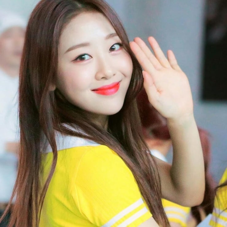 Picture of Yves