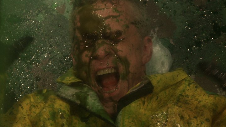 Mold!
