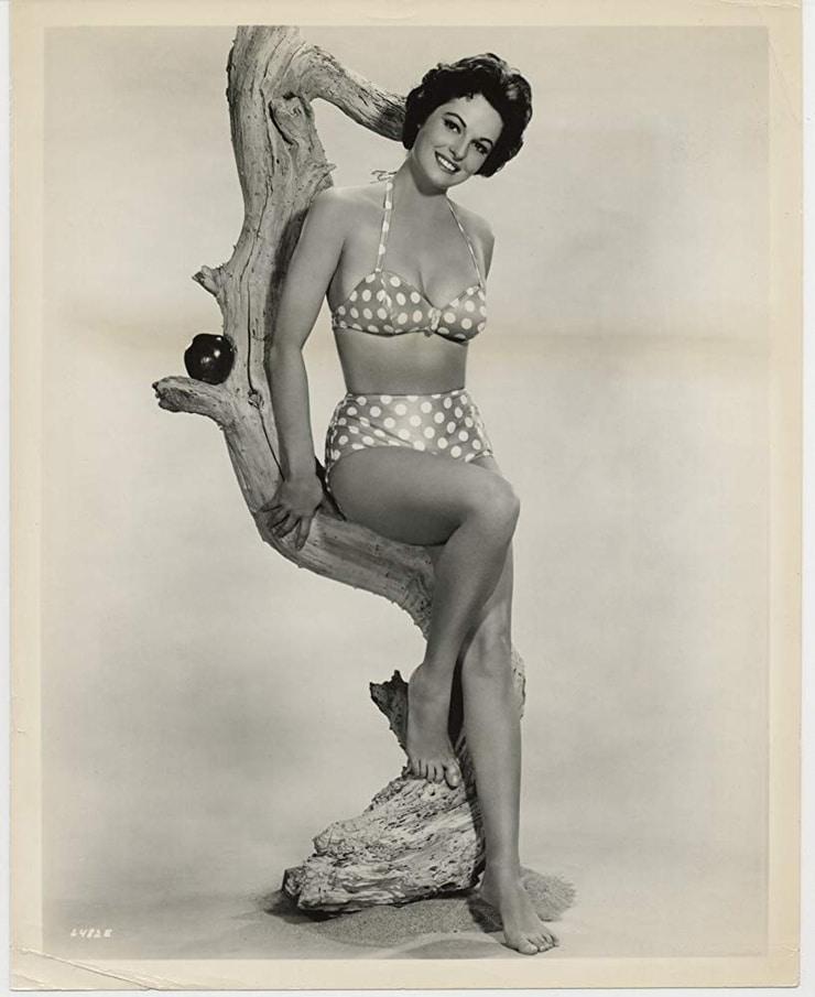 Joyce Taylor Joyce Taylor