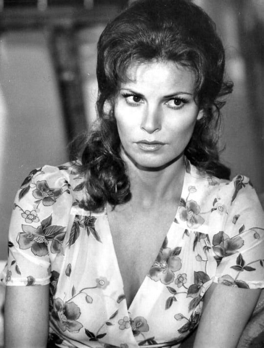 Raquel Welch