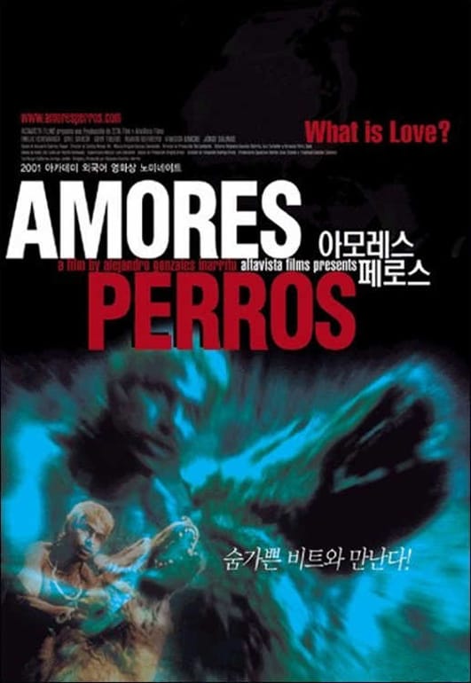 Amores Perros