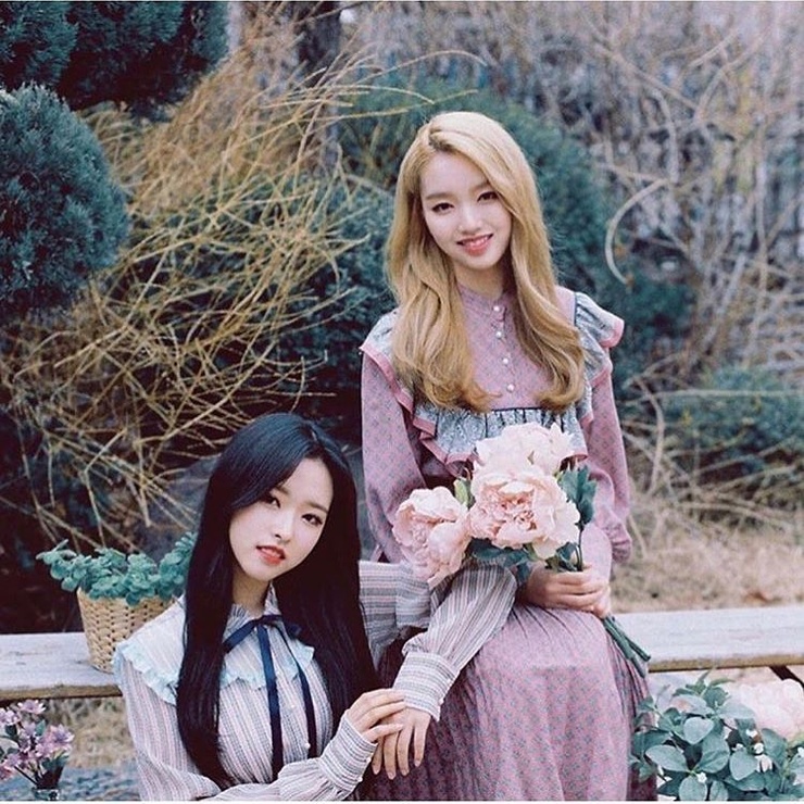 Go Won
