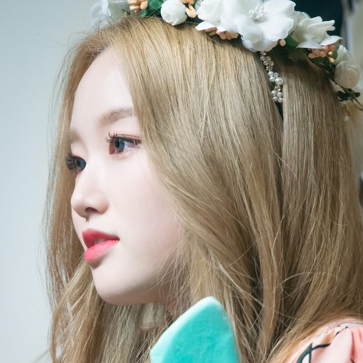 Go Won