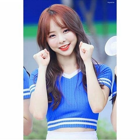 ViVi