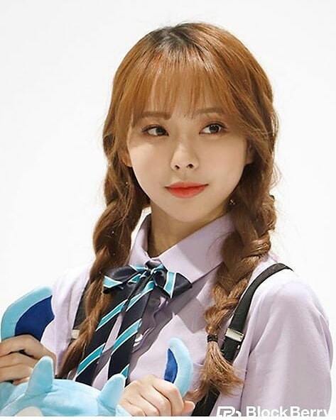 ViVi