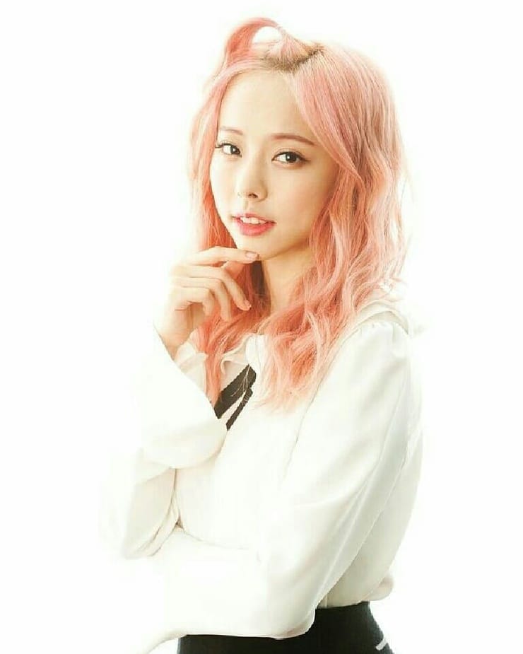 ViVi