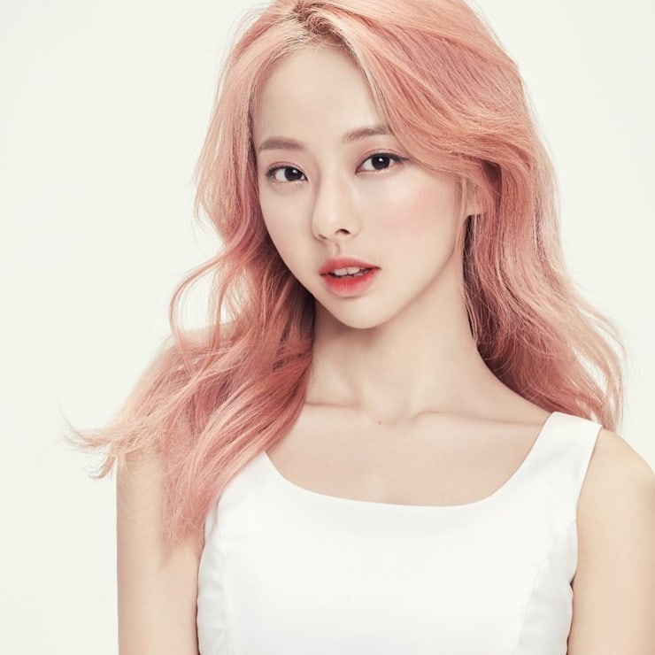 ViVi