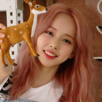 ViVi