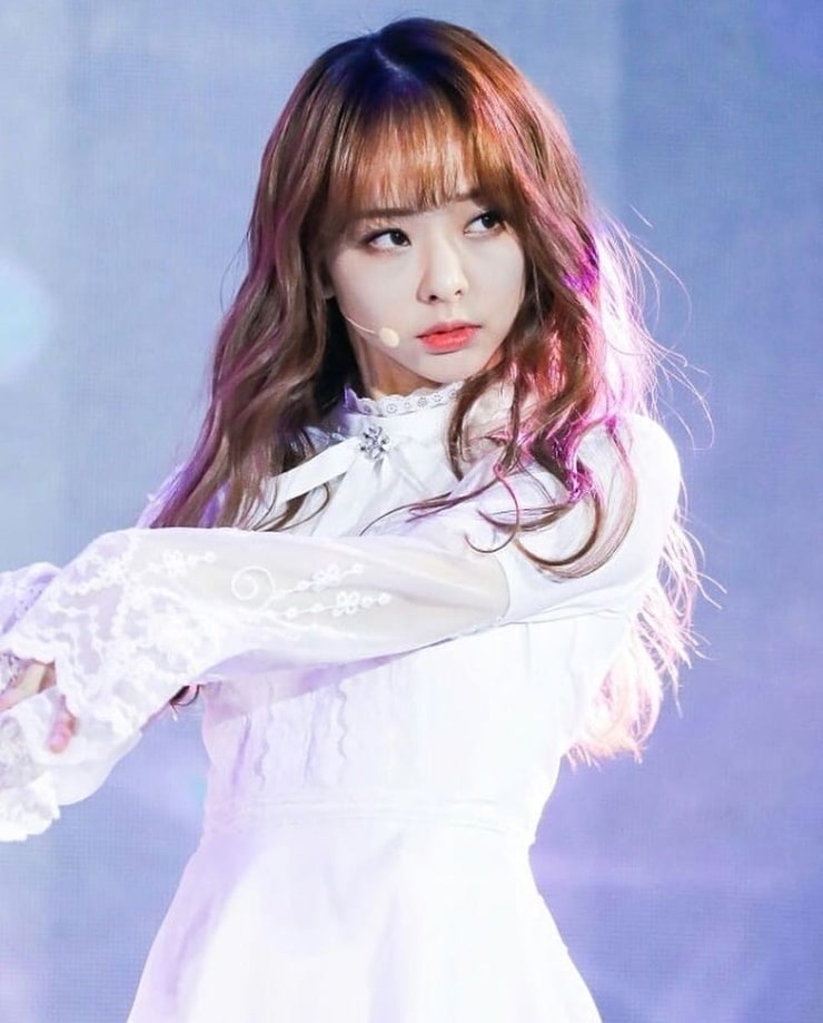 ViVi