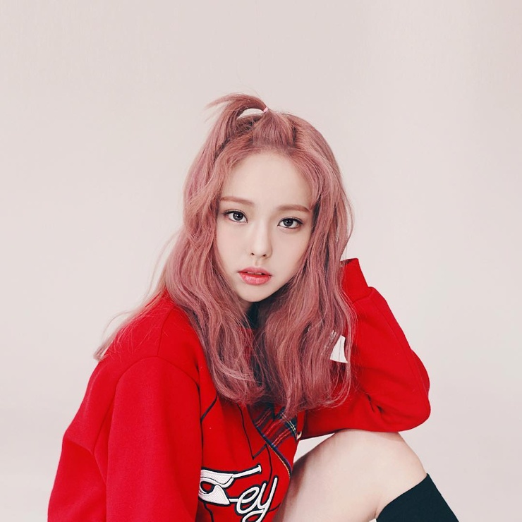 ViVi ViVi