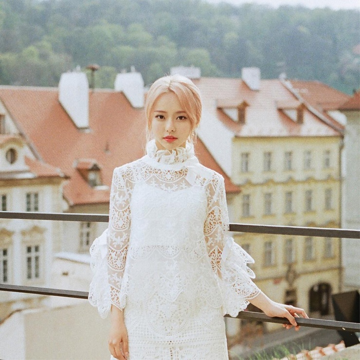 ViVi
