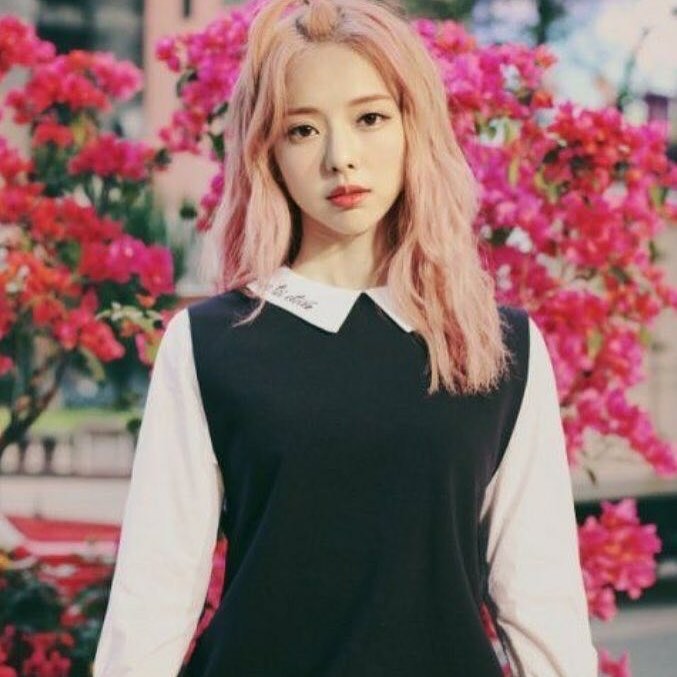 ViVi