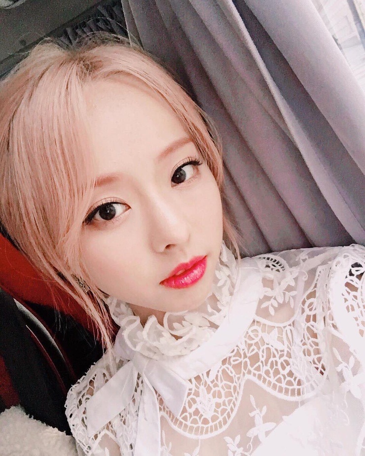 ViVi