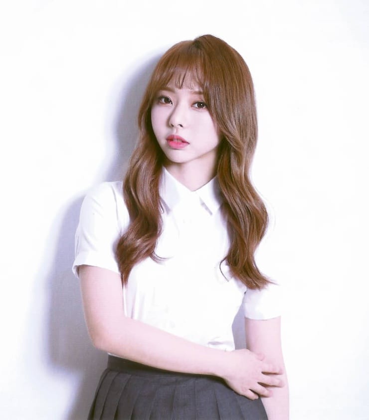 ViVi