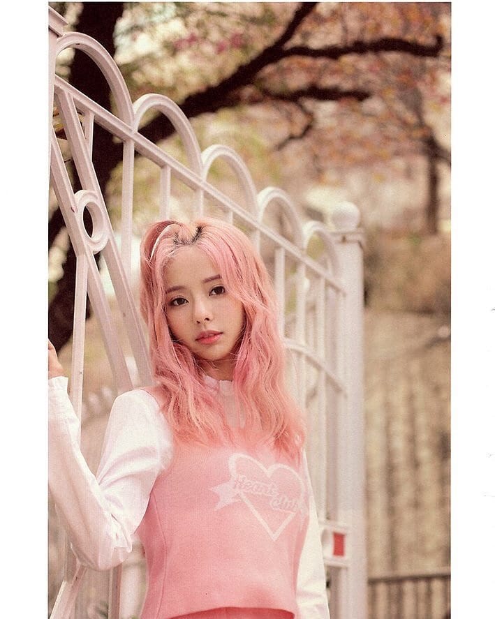 ViVi
