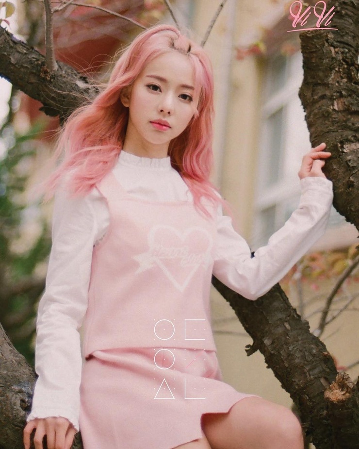 ViVi