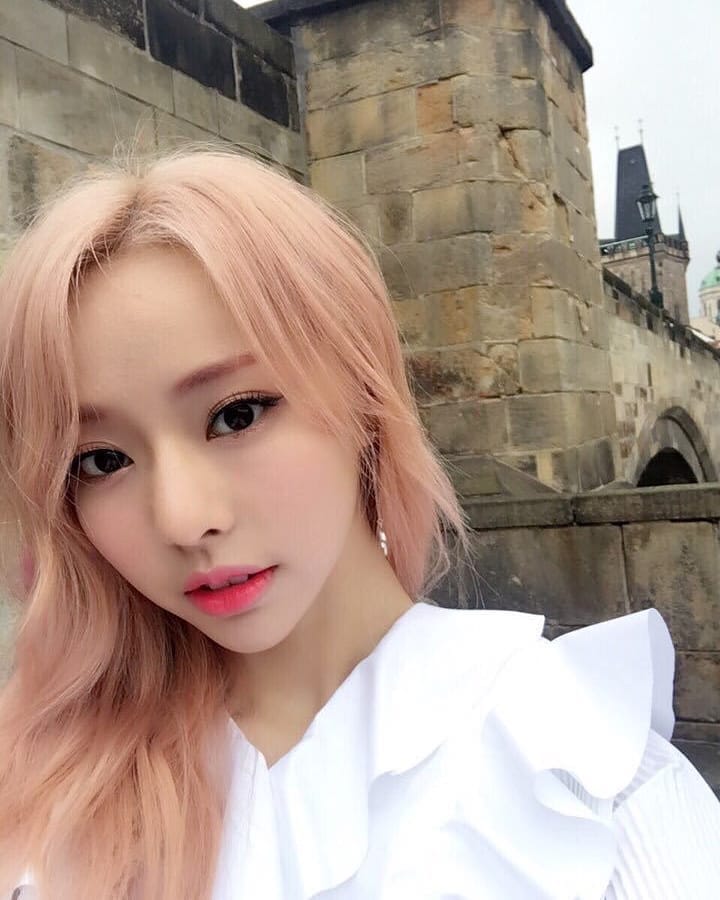 ViVi