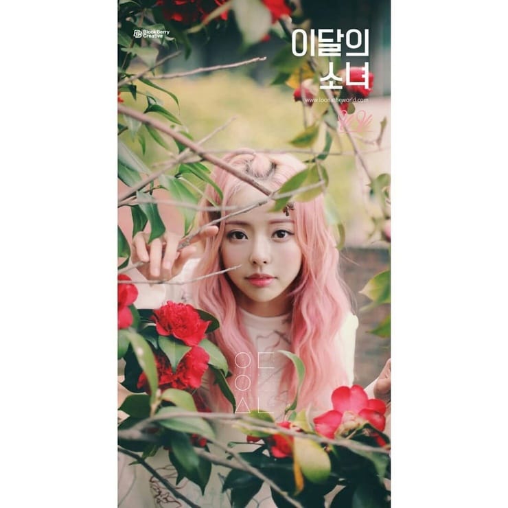 ViVi