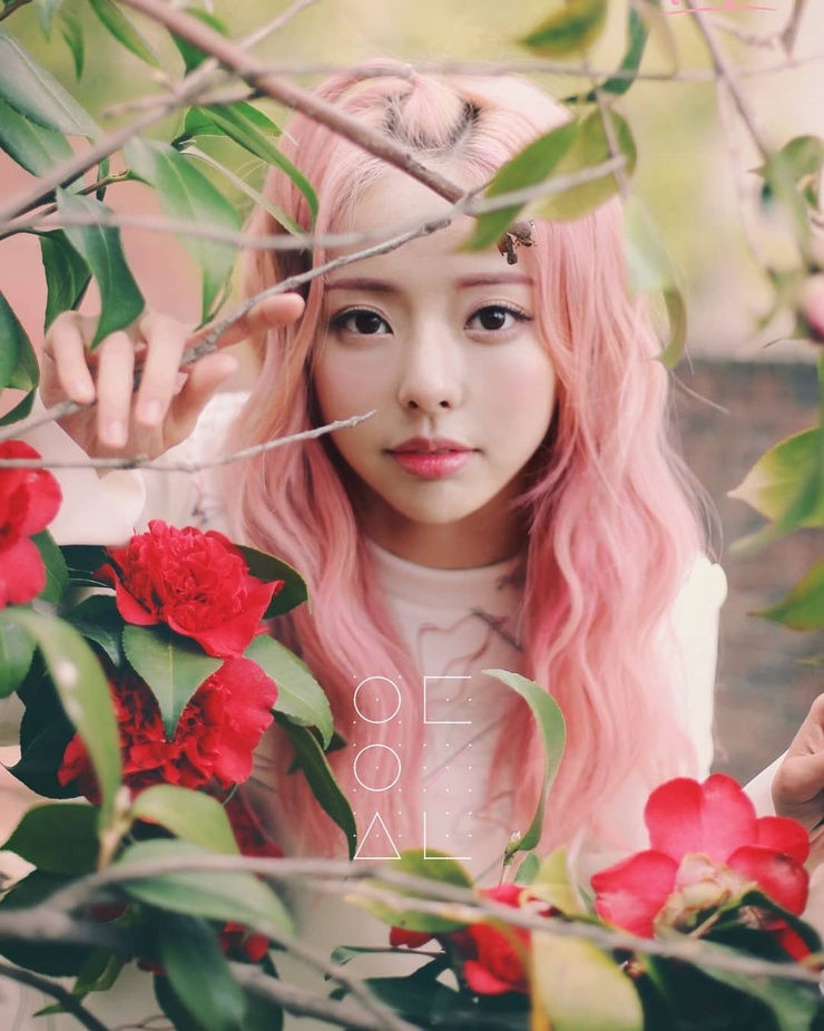 ViVi