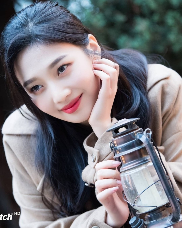 Joy (Park Soo Young) Joy (Park Soo Young)