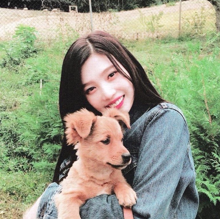 Joy (Park Soo Young) Joy (Park Soo Young)