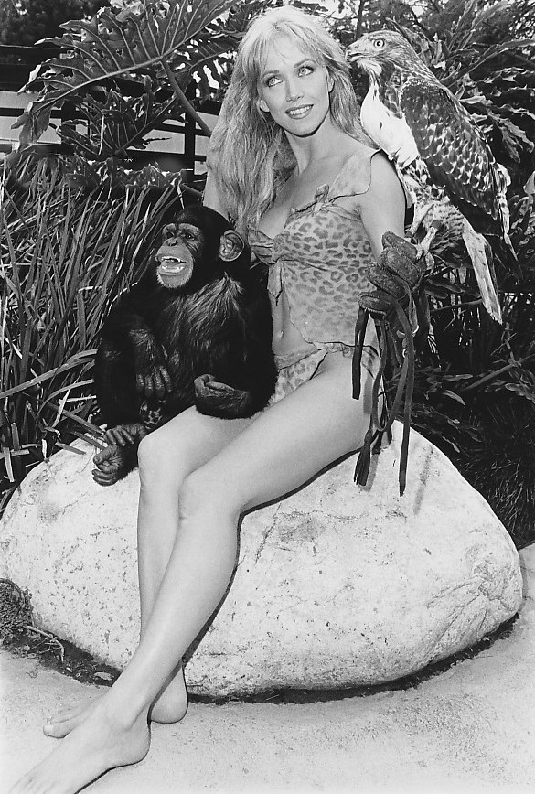 Sheena Sheena