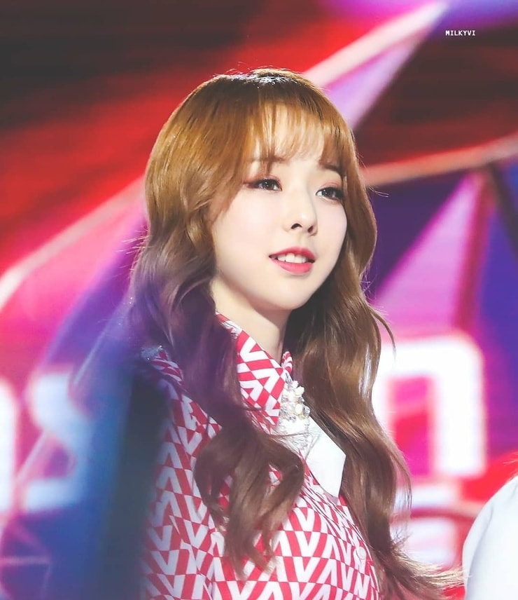 ViVi