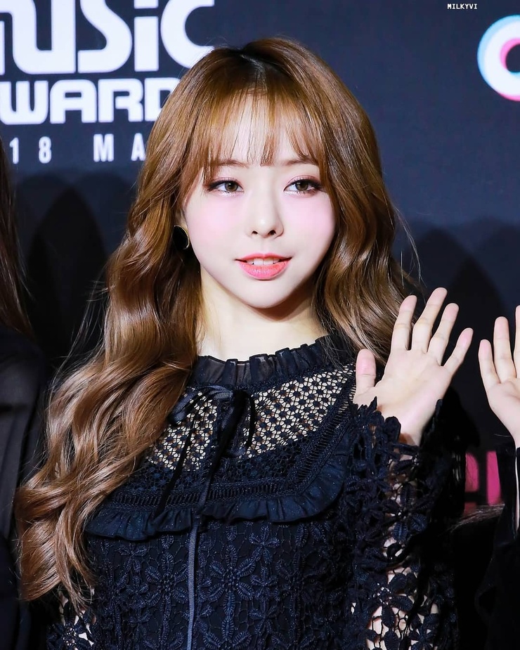 ViVi