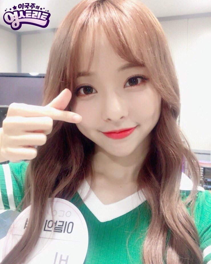 ViVi