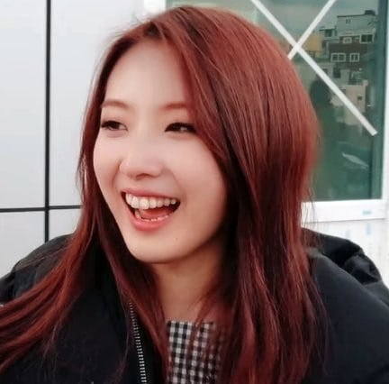 HaSeul