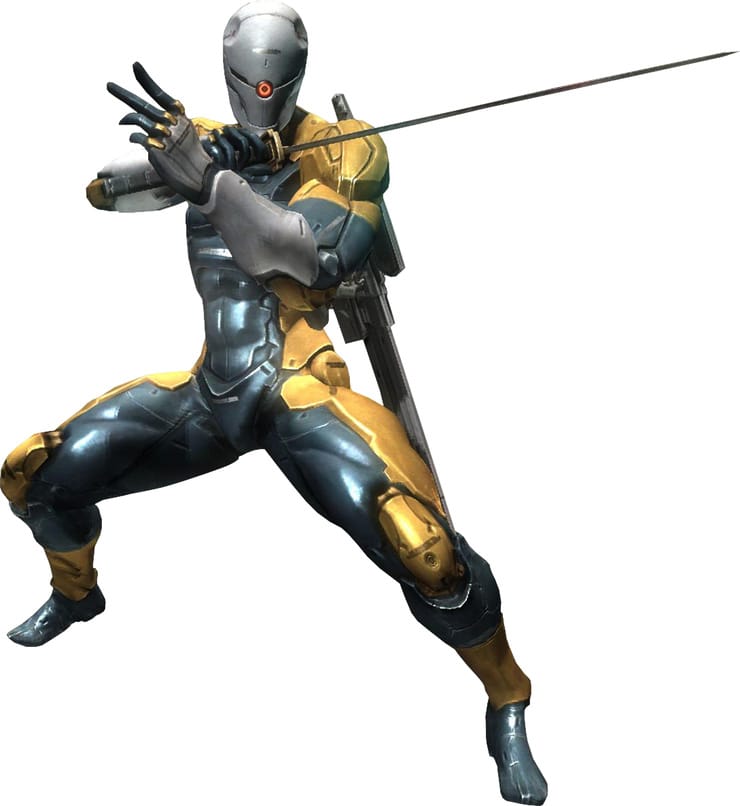 Gray Fox