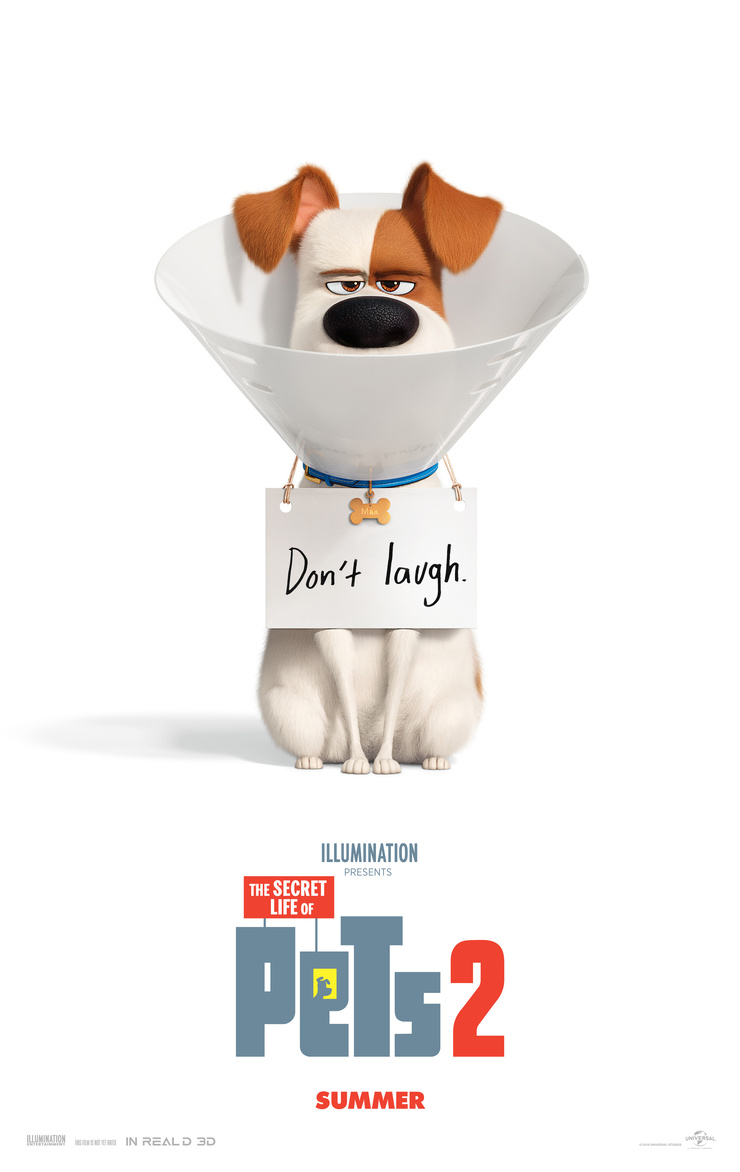 The Secret Life of Pets 2 (2019) The Secret Life of Pets 2 (2019)