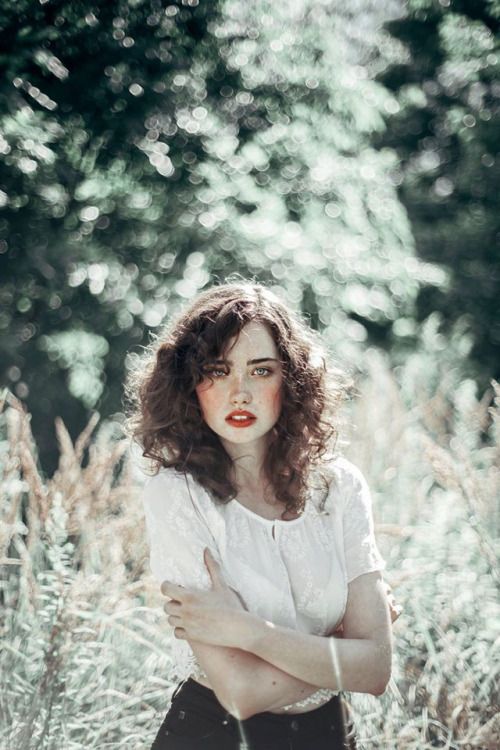 nikola selezinko