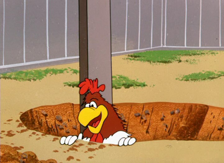 Raw! Raw! Rooster!
