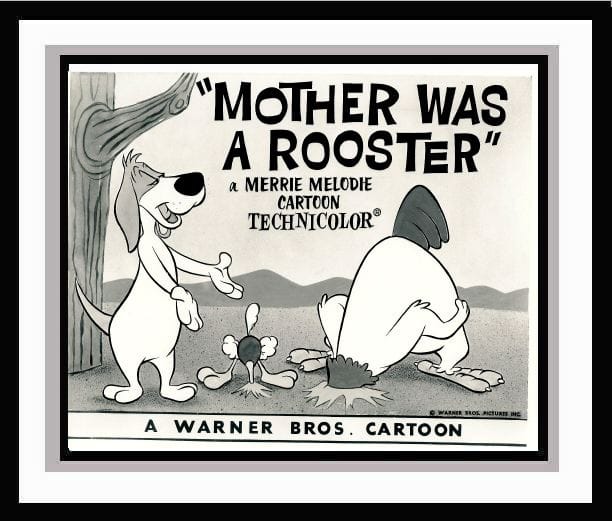 Mother Was a Rooster