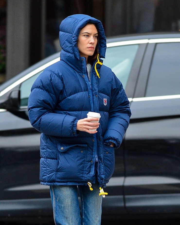 Picture of Alexa Chung