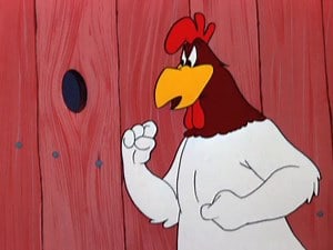 A Broken Leghorn