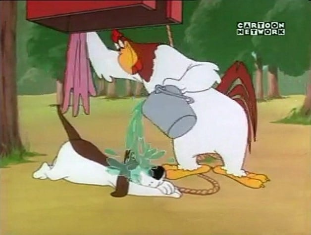 Picture of Leghorn Swoggled