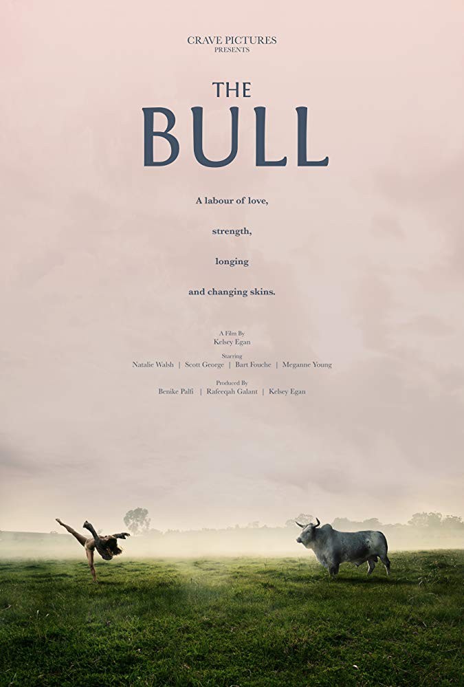 The Bull The Bull