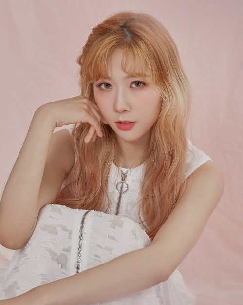Han Dong