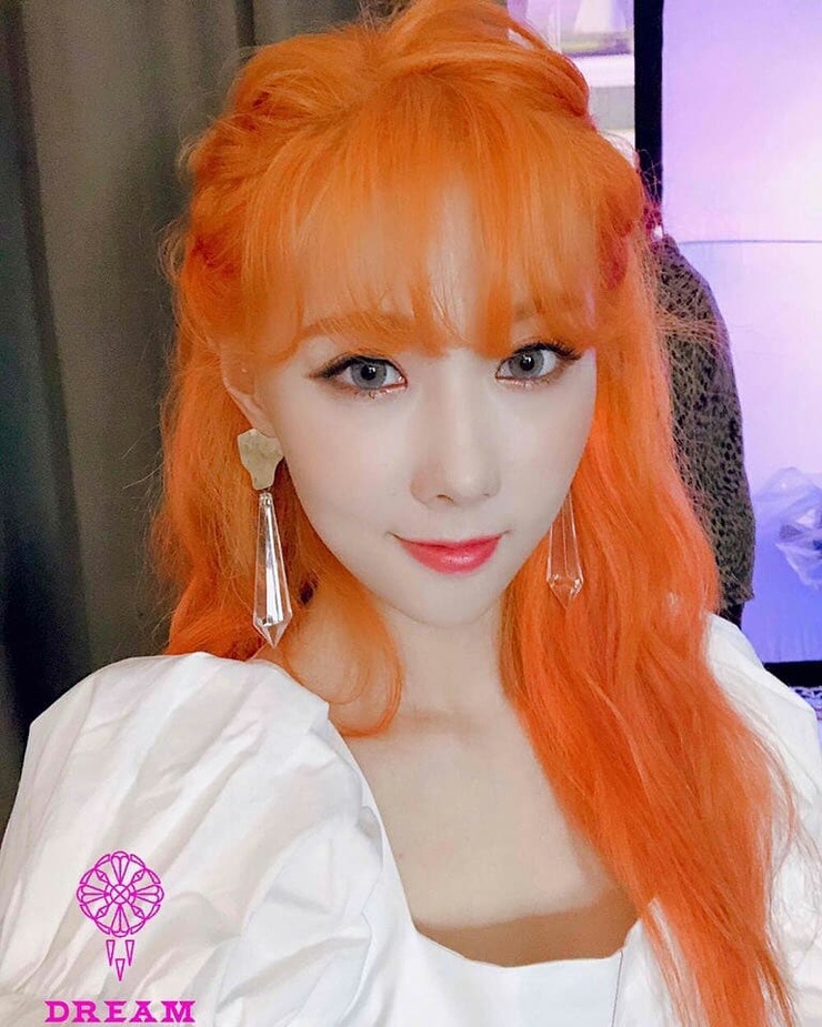 Han Dong Han Dong