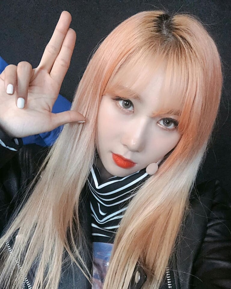 Han Dong Han Dong