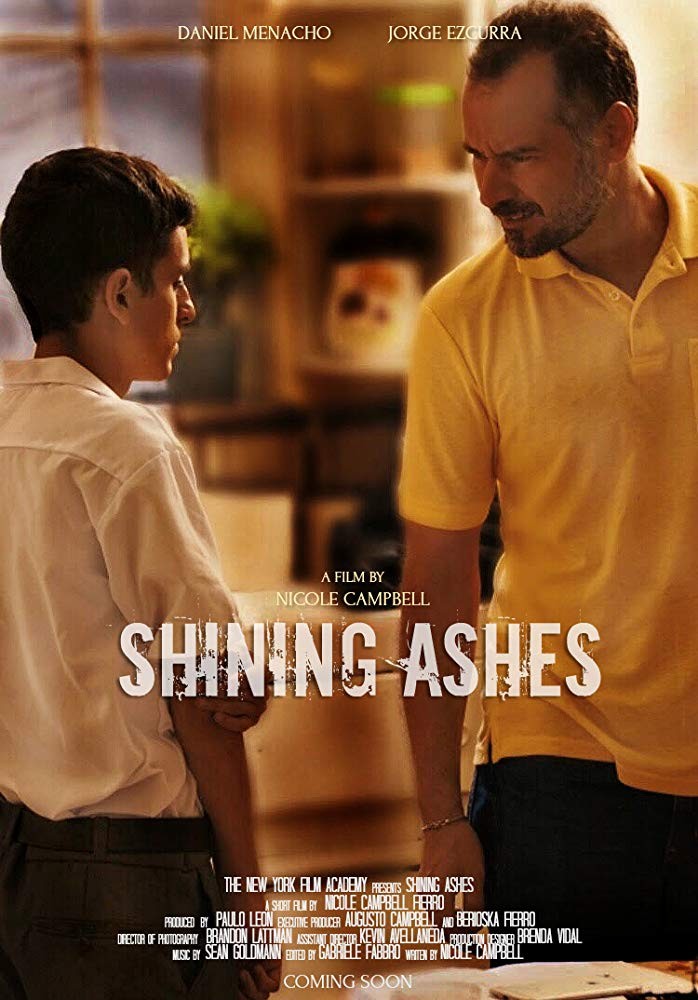 Shining Ashes